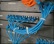 Netzwerkkabel von Intellinet